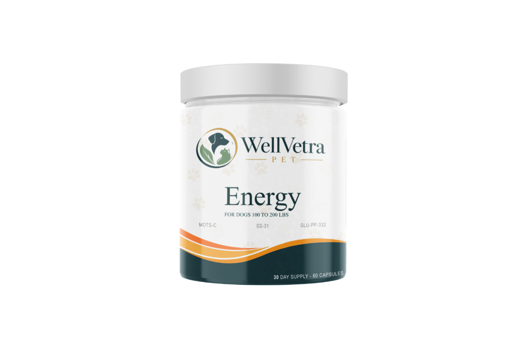 Energy