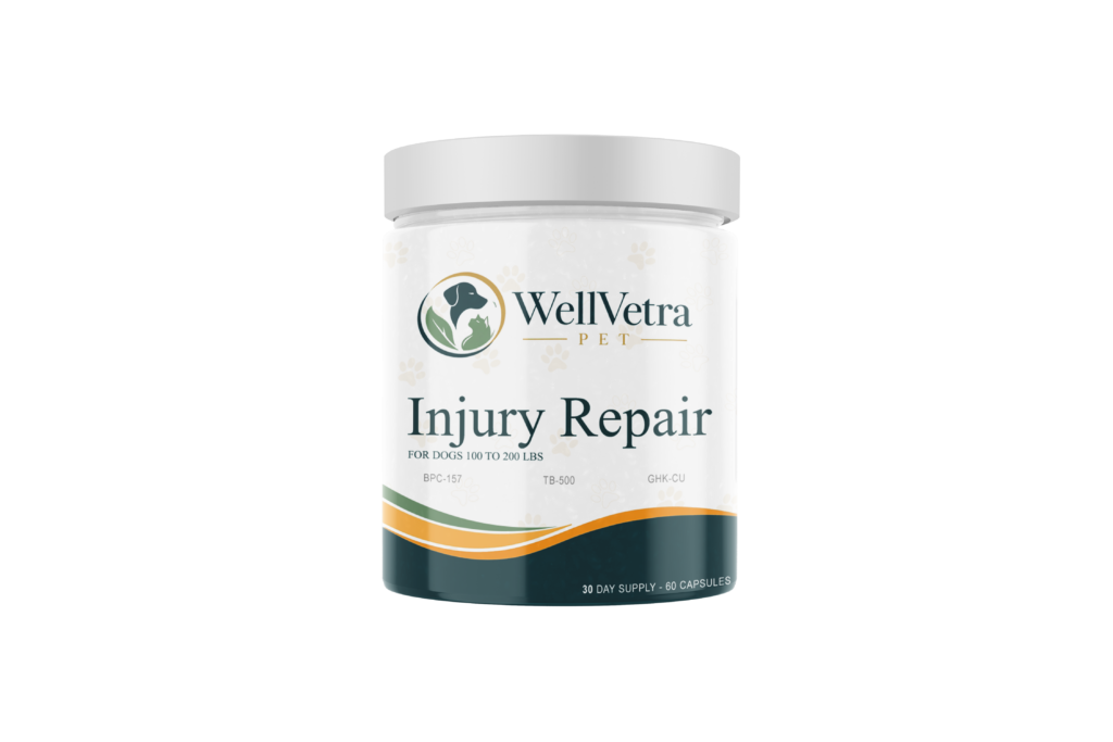 Injury Repair