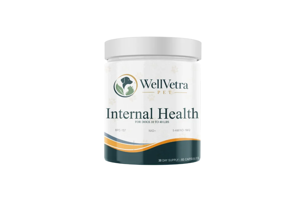 Internal Health